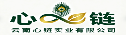 云南心链实业有限公司